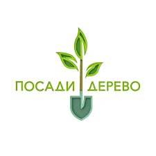 Посади дерево